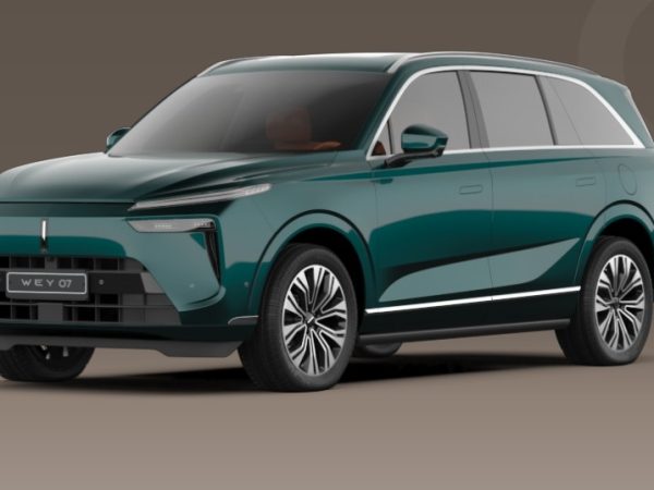 Почему китайские гибриды становятся все популярнее в России